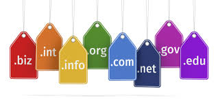 dom12-1 Domain Names